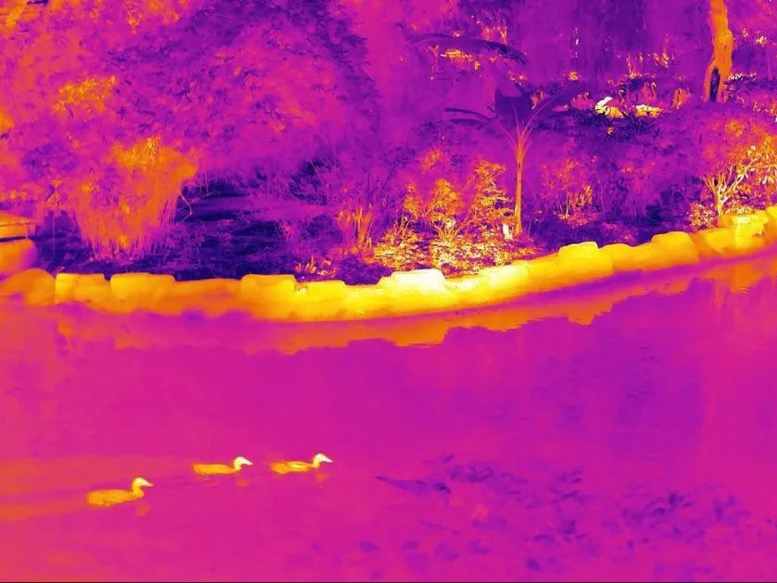 面朝海，等“芯”来