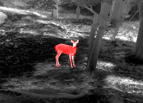 红外热成像的应用