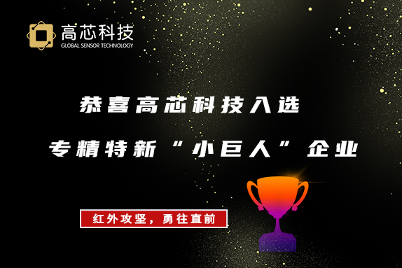 高芯科技入选国家专精特新“小巨人”企业
