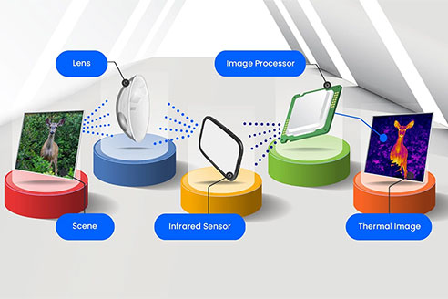 红外科普：热像仪如何工作？