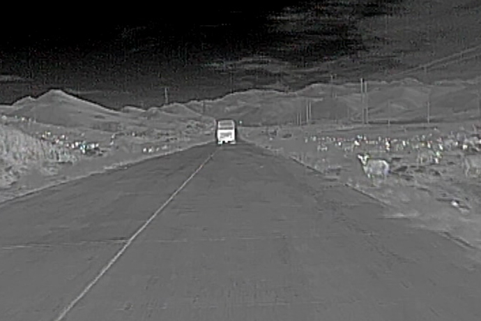 红外热成像技术在智能驾驶中的应用