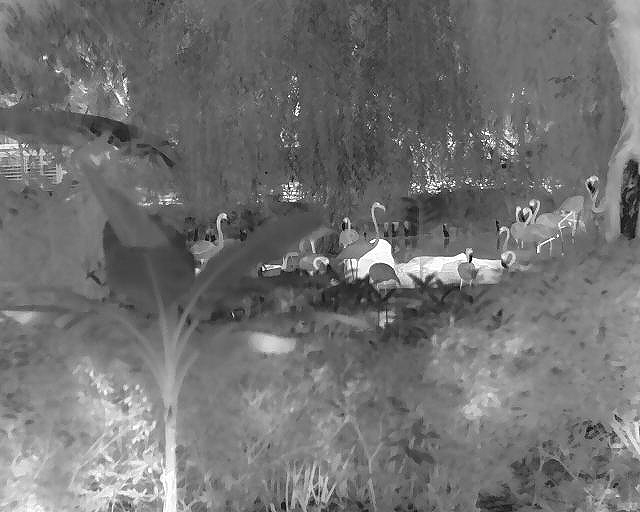 红外热成像技术如何赋能农业巡检机器人